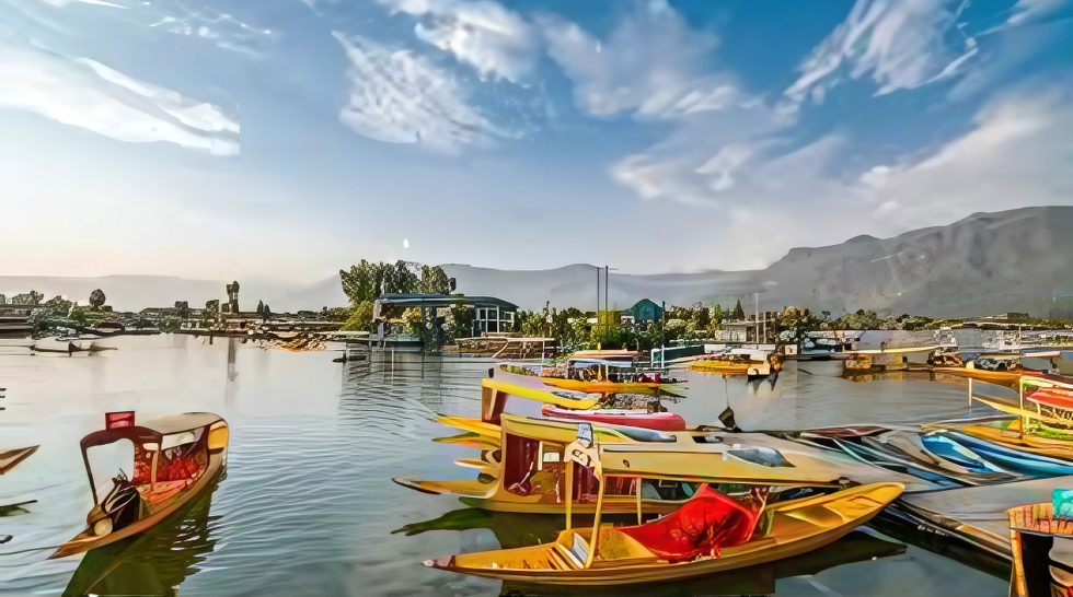 Domestic Tours (India)